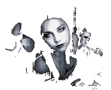 evanescence_.gif
