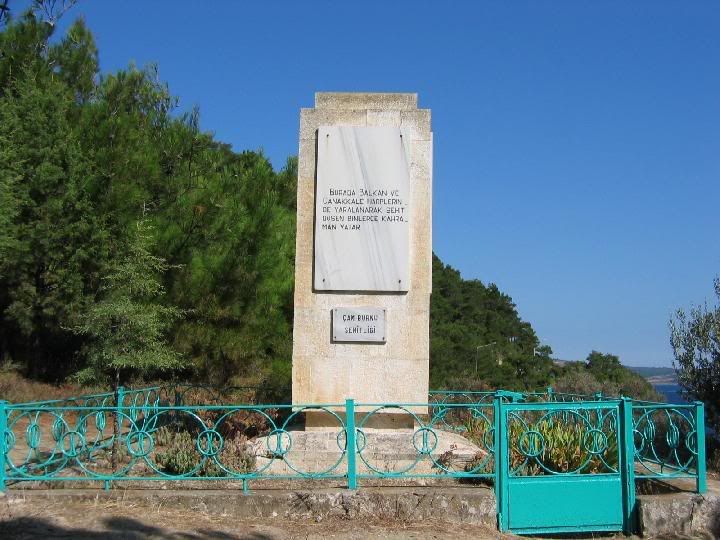 amburnuehitlii.jpg