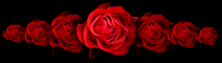 flower10.gif