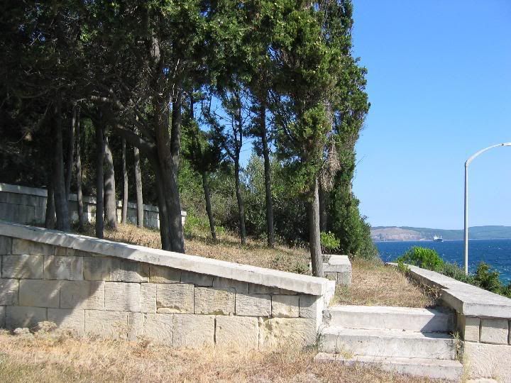 simsizTopuehitlii.jpg