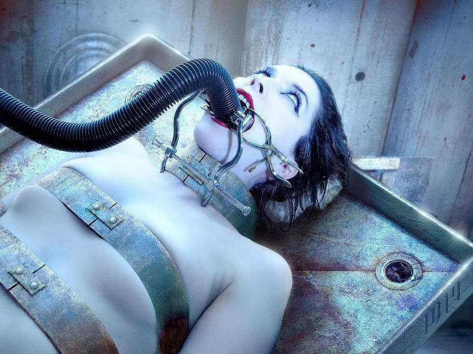 55.jpg