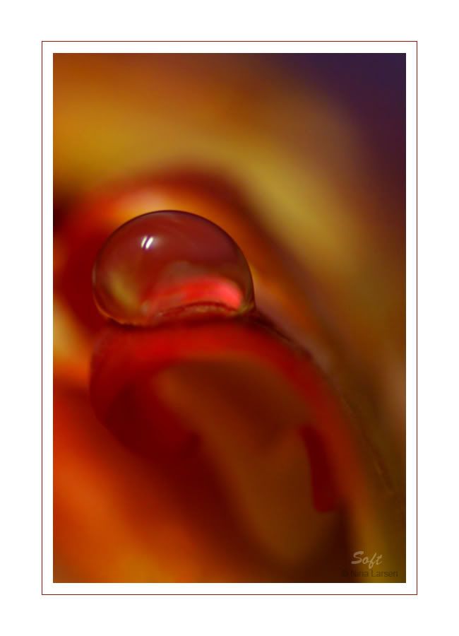 8268f4f215b02da458ec536645b3039b_fu.jpg