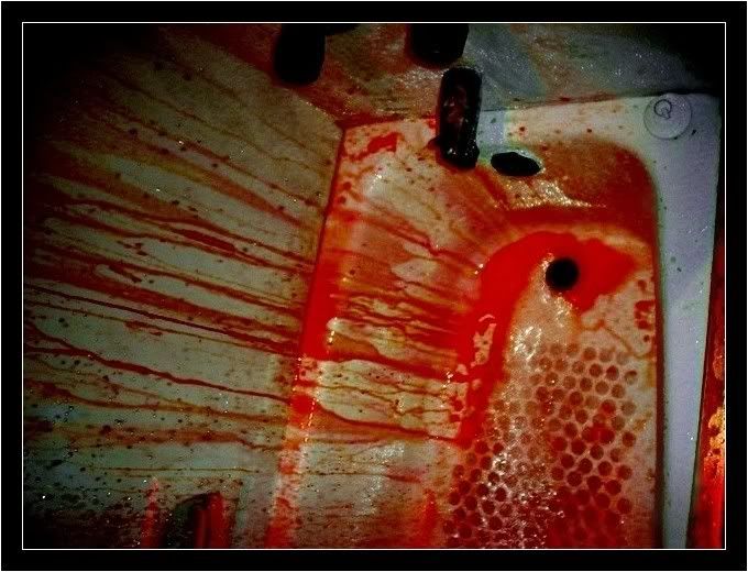 Blood_Bath_Thing.jpg