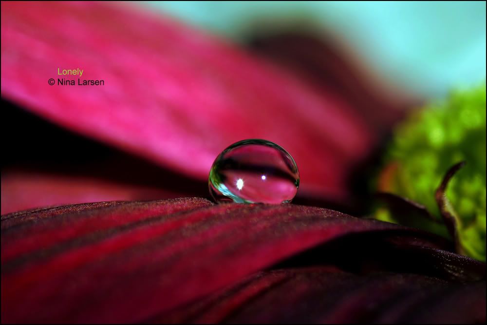be2c847261a79ad533dd5924816d5b37_fu.jpg