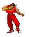street_fighter_022.gif