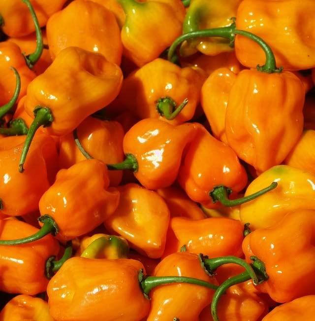 habaneros.jpg