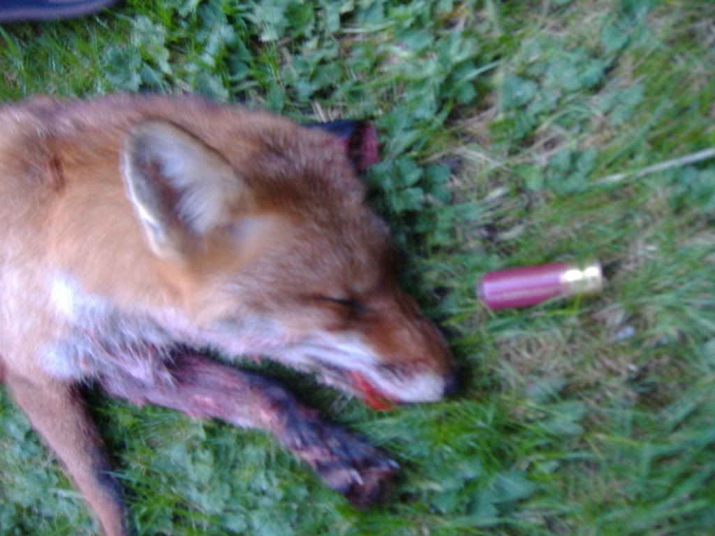 DSCF0307.jpg