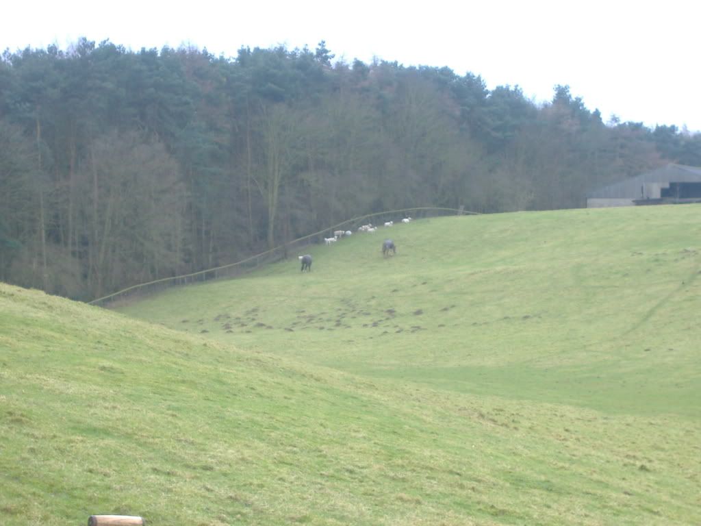 DSCF1864.jpg