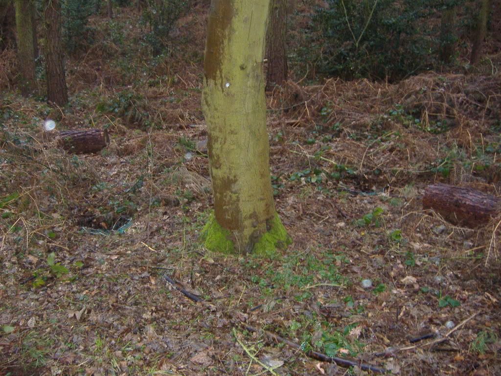 DSCF1866.jpg