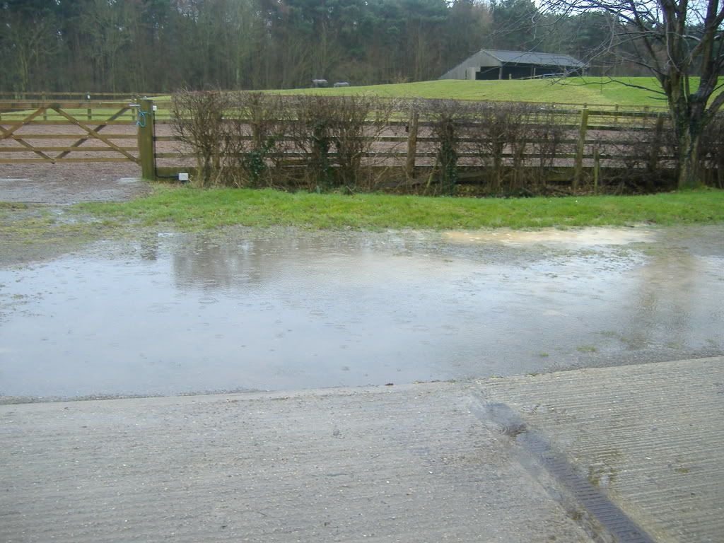 DSCF1868.jpg
