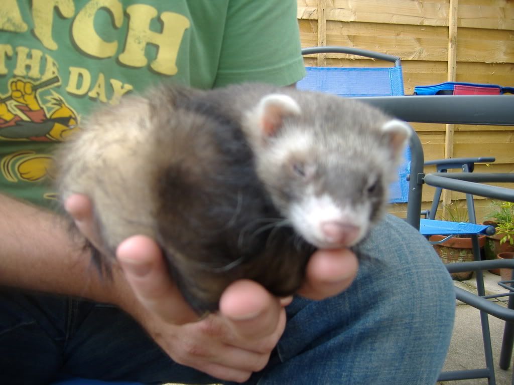 DSCF2312.jpg