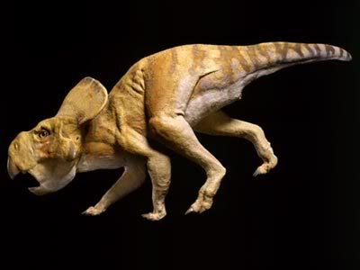 protoceratops_model.jpg