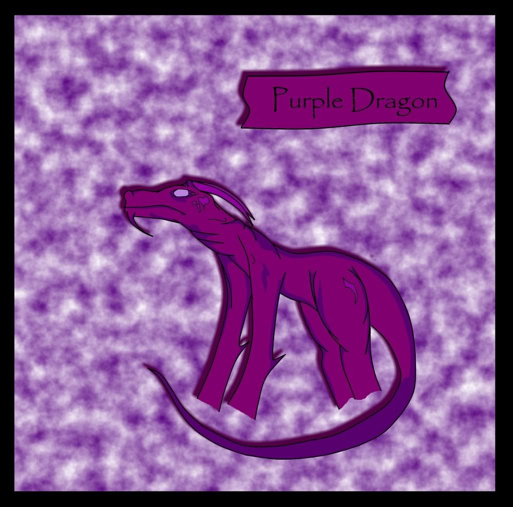 PurpleDragon2.jpg