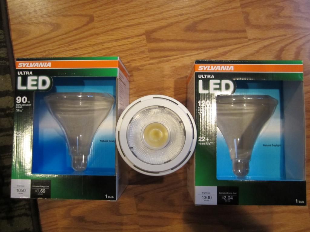standbulb_zps0ea5085d.jpg