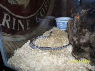 Picture071.jpg