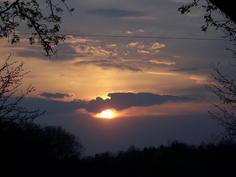 Pictures - just for fun - Goats