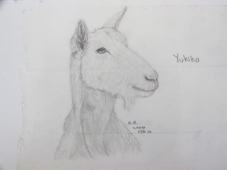 Goat art thread? - Goats