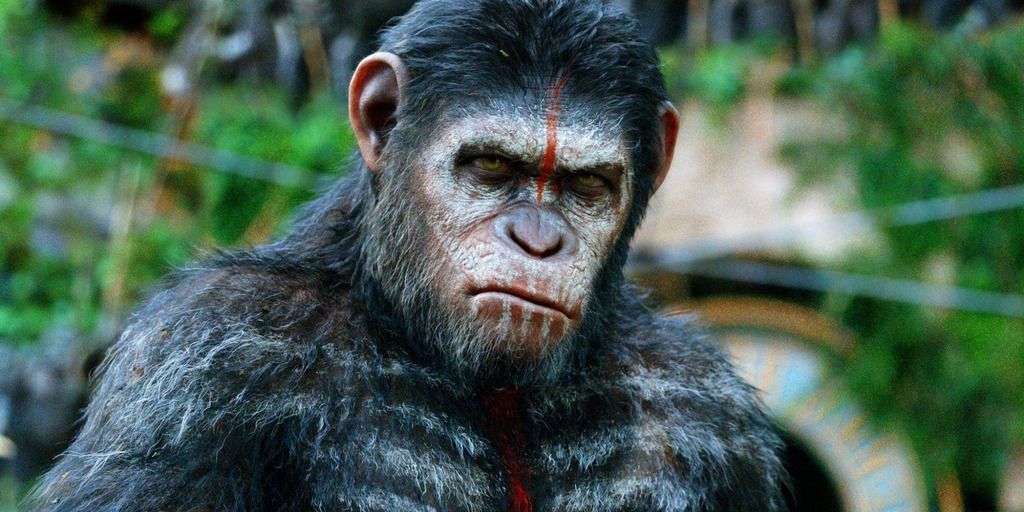 war-for-planet-apes-plot-summary-caesar_