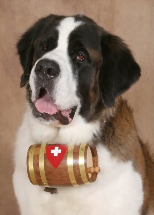 http://i175.photobucket.com/albums/w156/Wakeup87/saintbernard_rahm.jpg