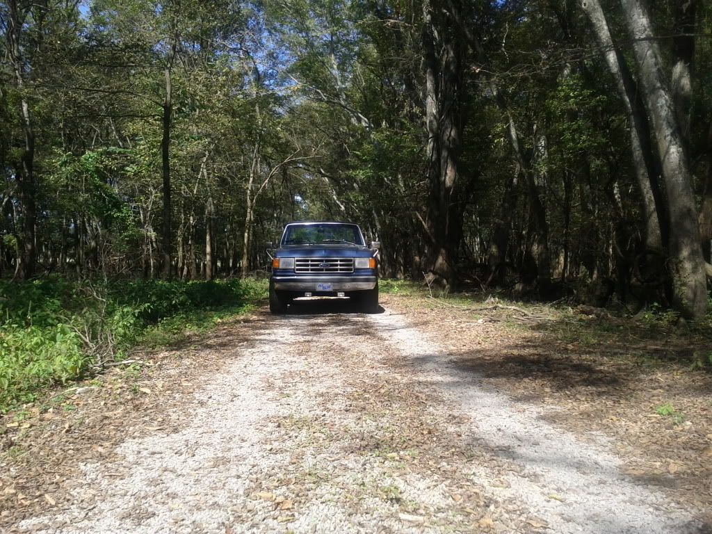 IMG_20111004_135052.jpg