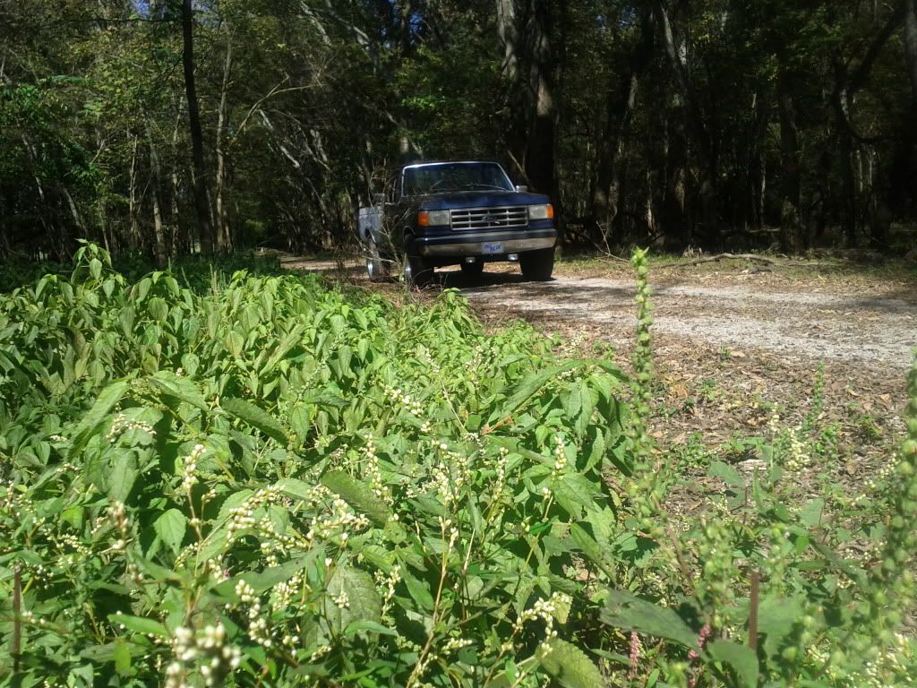 IMG_20111004_135103.jpg