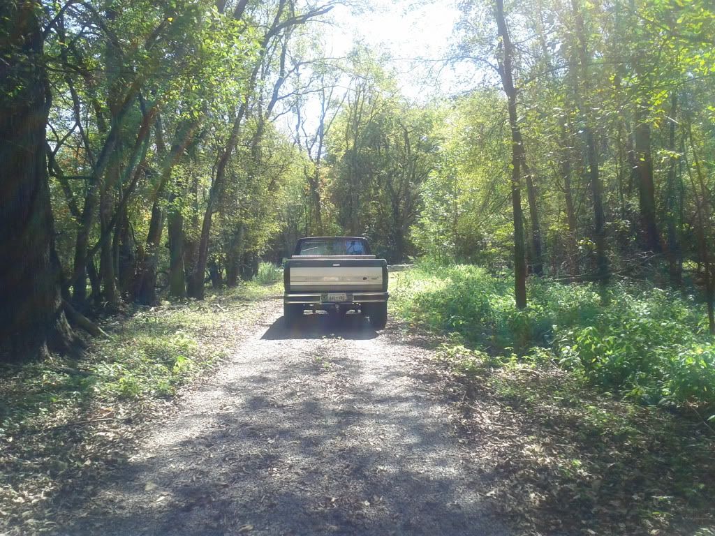 IMG_20111004_135146.jpg