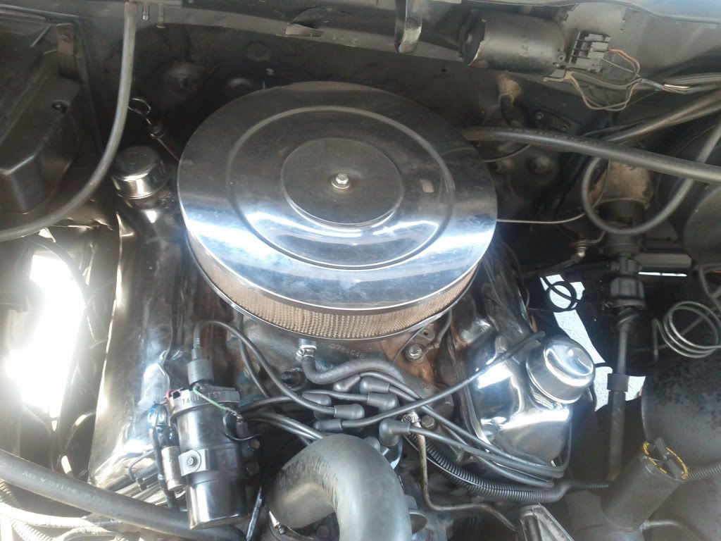IMG_20111004_140213.jpg