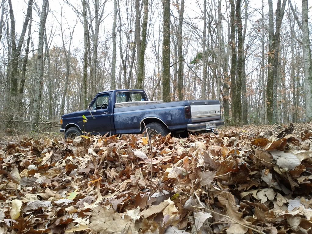 IMG_20111114_105140.jpg