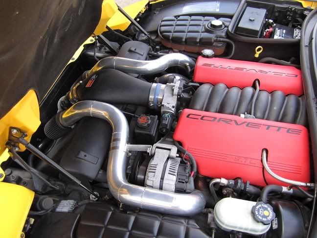 [Image: IMG_0364.jpg]