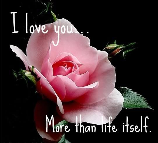 i love you more than anything quotes. I love you Pictures,