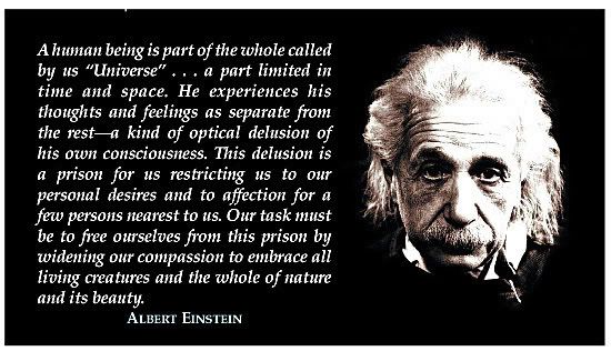 Einstein Quote Pictures, Images and Photos
