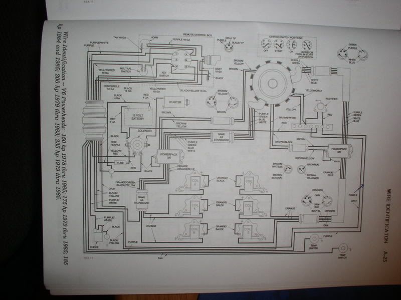 Picture255.jpg