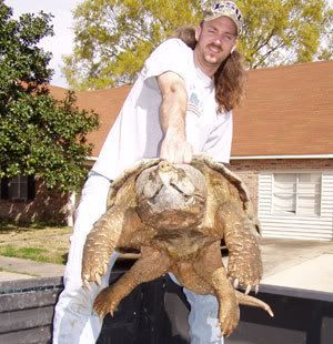 snapper3.jpg