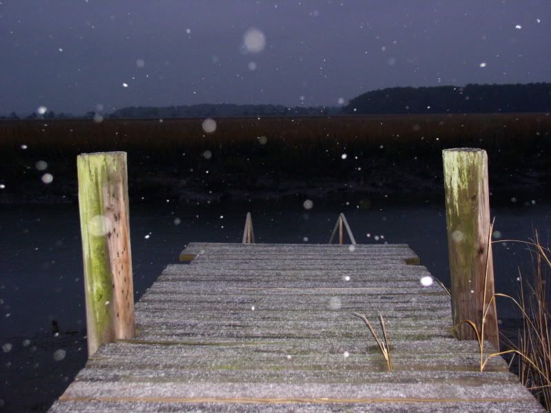 snow009.jpg