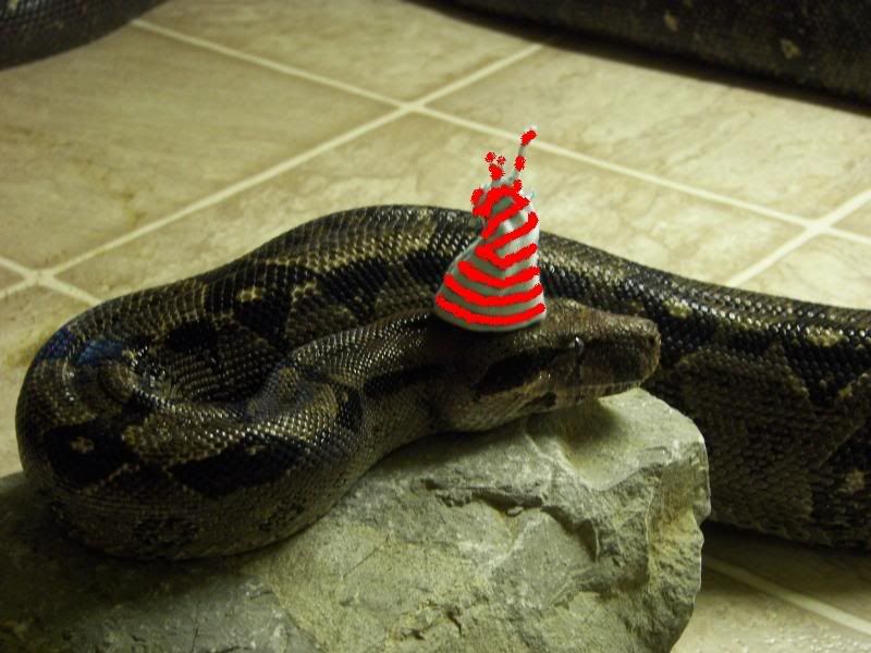 stinkboa.jpg