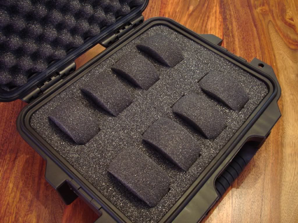 PeliCase4.jpg