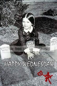 It's Wednesday! Hump Day! (20 Images) - Pirate's Cove » Pirate's Cove