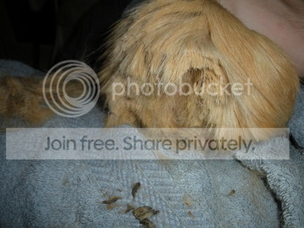 DSCN1076.jpg