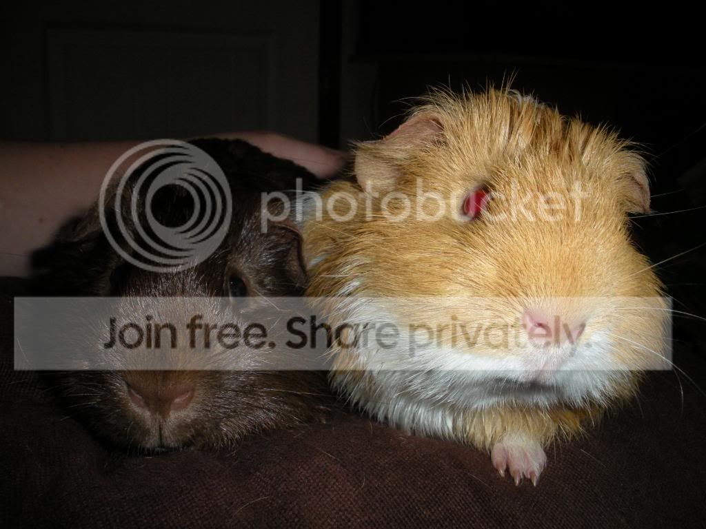 DSCN1081.jpg