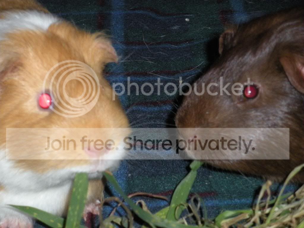 DSCN1159.jpg