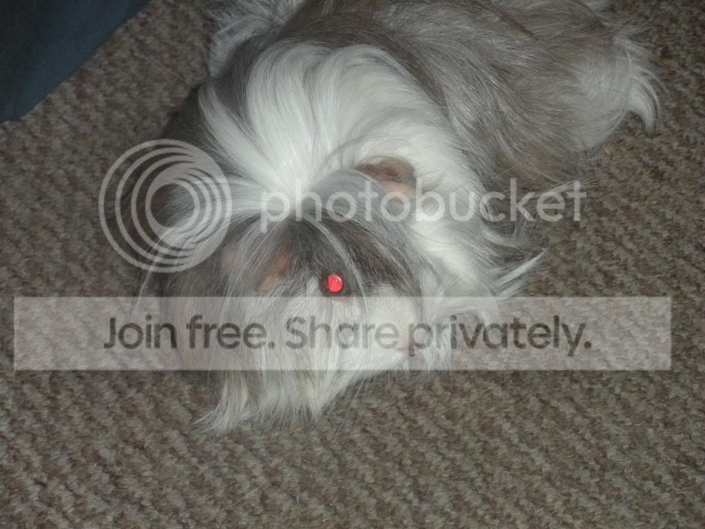 DSCN1188.jpg