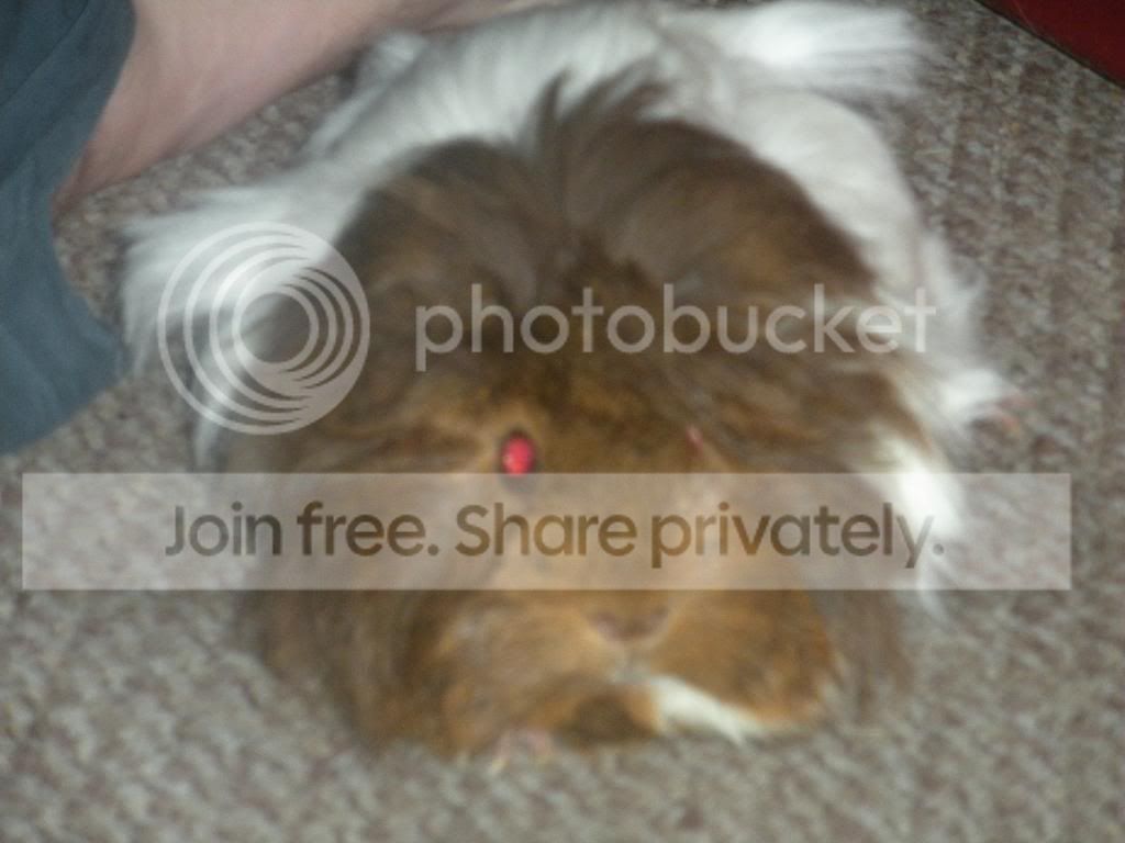 DSCN1193.jpg
