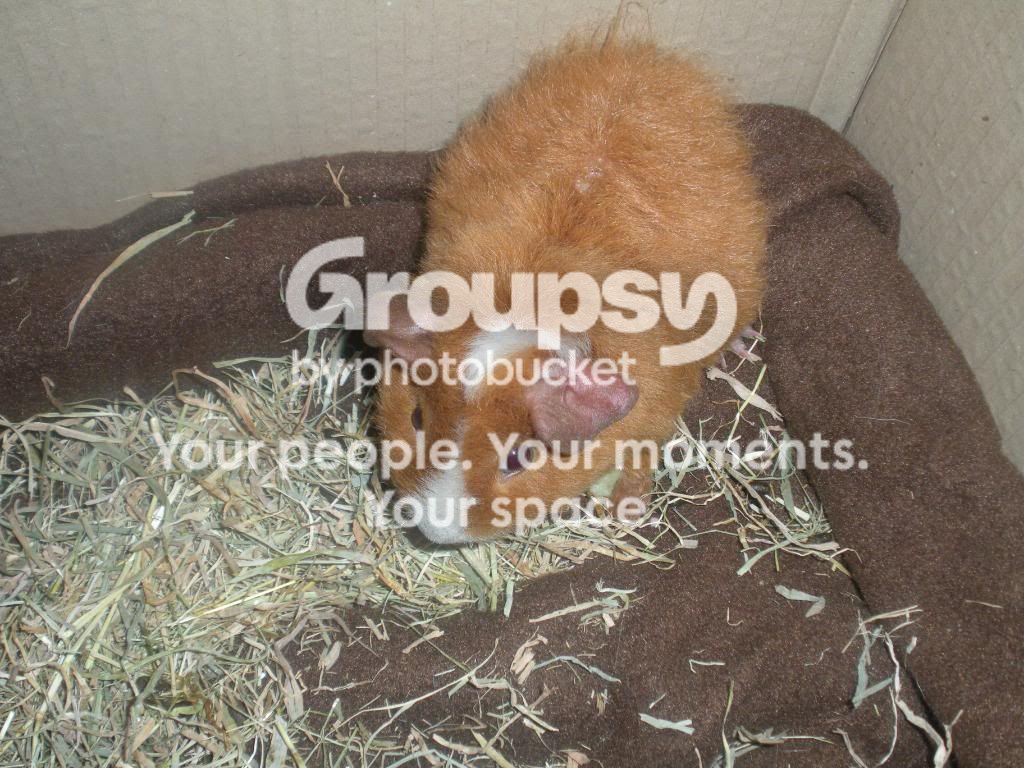 DSCN1198.jpg