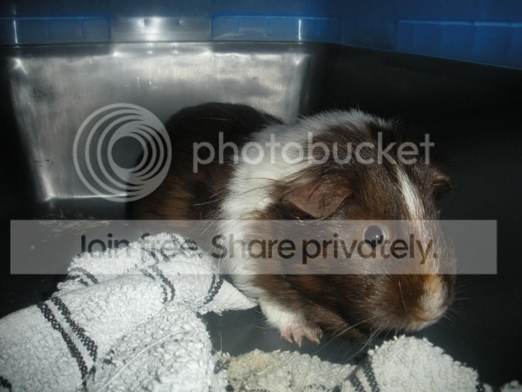 DSCN1205.jpg