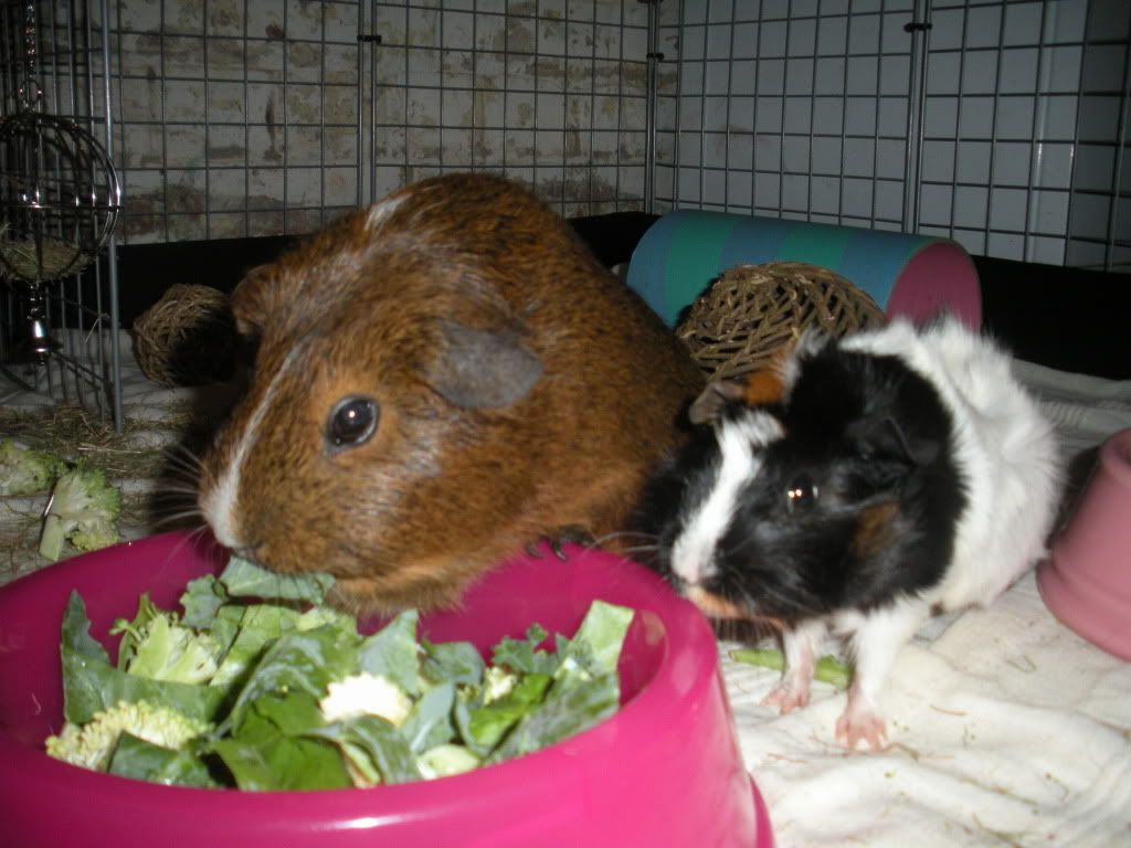 DSCN0712.jpg