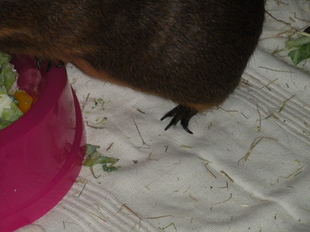 DSCN0713.jpg