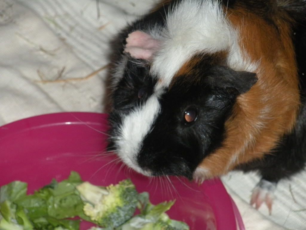 DSCN0721.jpg