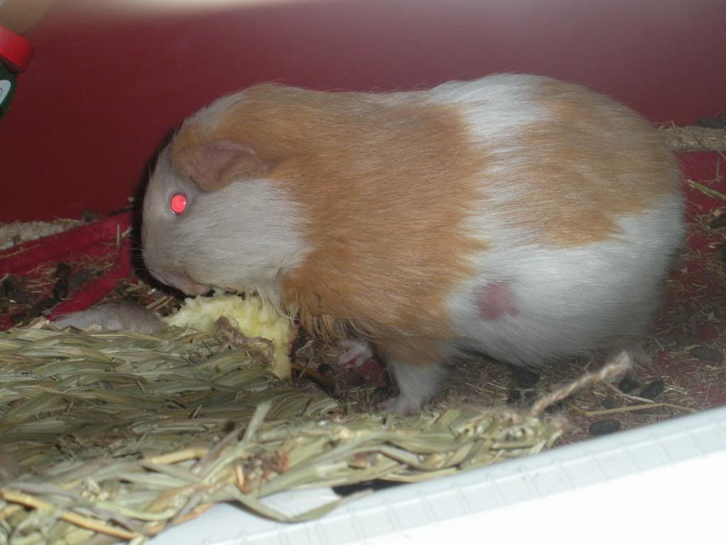 DSCN1420.jpg