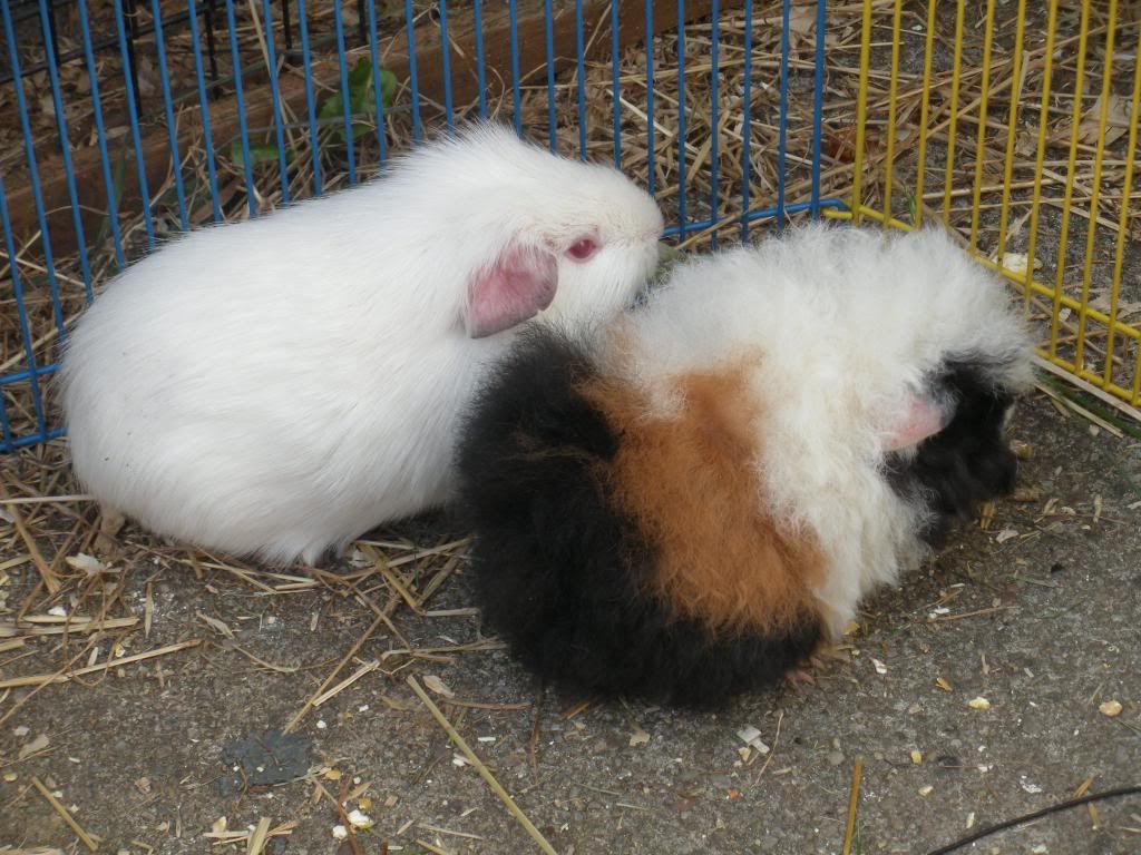 DSCN2745.jpg