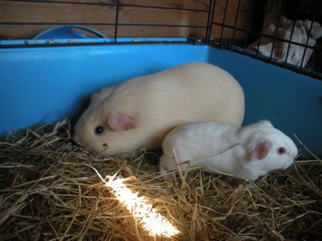 DSCN3302.jpg